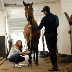 Graisses & Baumes Pour Cuirs*Alodis Care - Baume soin du cuir à la cire d'abeille Cuir Food