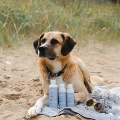 Cicatrisants|Cicatrisants*Alodis Care - Gel cicatrisant Cani Repair pour chien