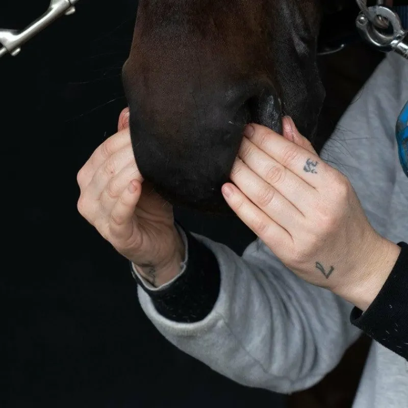 Baumes Nasals*Alodis Care - Gel Focus Control naseaux stress