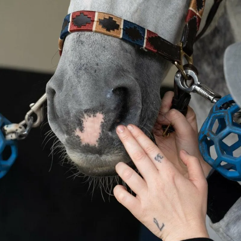 Best - Gel protecteur cutané Sensitive Zinc Cicatrisants