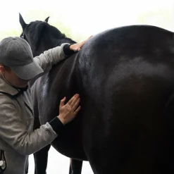 Baumes Et Gels Décontractants*Alodis Care - Huile de massage Digest Récup problème gastrique Blanc