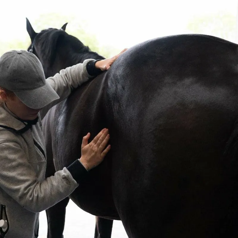 Baumes Et Gels Décontractants*Alodis Care - Huile de massage Digest Récup problème gastrique Blanc