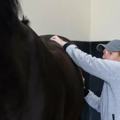 Baumes Et Gels Décontractants*Alodis Care - Huile de massage Digest Récup problème gastrique Blanc