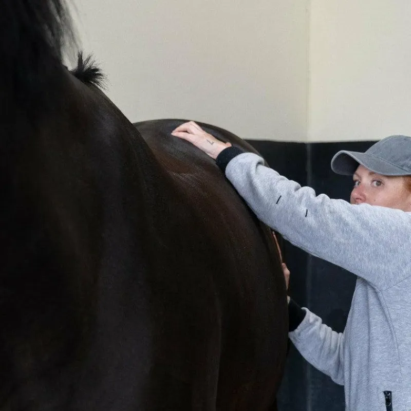 Baumes Et Gels Décontractants*Alodis Care - Huile de massage Digest Récup problème gastrique Blanc