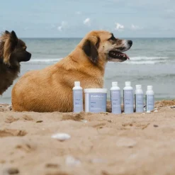 Online - Huile de massage Cani Recup pour chien Décontractants