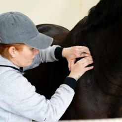 Baumes Et Gels Décontractants*Alodis Care - Huile massante Work Recup après effort