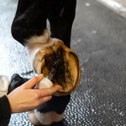 Huiles Pour Sabots*Alodis Care - Huile pour sabots Hoof Choc