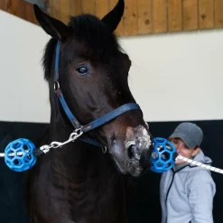 New - Tendi Flash Argile récupération sportive Argiles