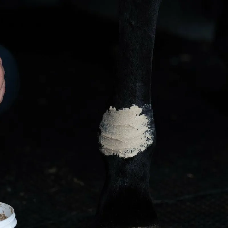 New - Tendi Flash Argile récupération sportive Argiles