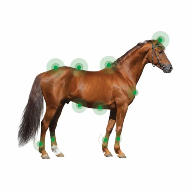 Dermite Estivale*Animaderm - Crème dermite estivale pour peau épaisse Derfen clear