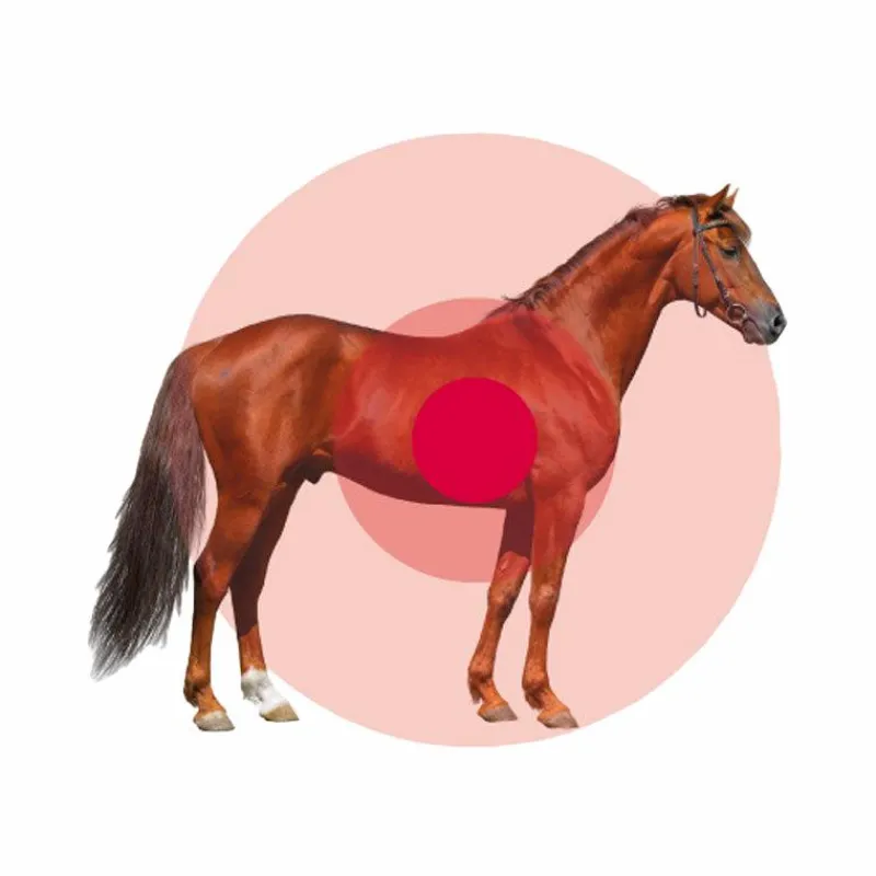 Repousse Du Poil|Repousse Du Poil*Animaderm - Crème réparatrice Cutene