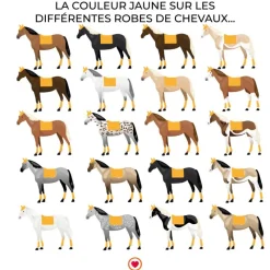 Best - Tapis de dressage Wastel Dressage|Tapis De Selle