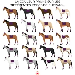 New - Tapis de dressage Weniz Dressage|Tapis De Selle