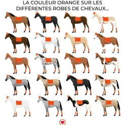 Dressage|Tapis De Selle*Animo Italia - Tapis de dressage Walzer Orange