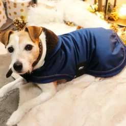 New - Couverture pour chien zephir 0g Manteaux
