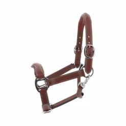 Licols En Cuir*Antarès Sellier - Licol doublé cuir marron