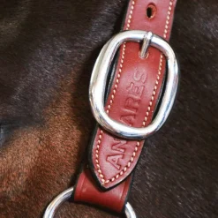 Licols En Cuir*Antarès Sellier - Licol doublé cuir marron