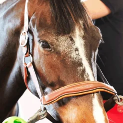 Licols En Cuir*Antarès Sellier - Licol doublé cuir marron