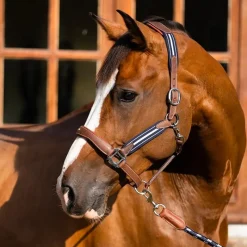 - Licol en cuir Stressless grainé havane / marine Élevage|Licols En Cuir