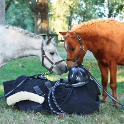 Best - Longe cuir et corde havane / marine Longes Classiques