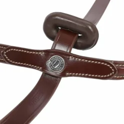 Hot - Martingale fixe Signature Sport havane Enrênements Poneys|Martingales