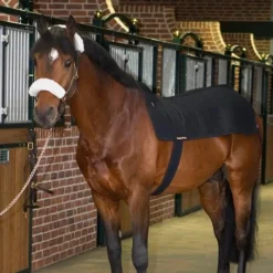 Sale - Chauffe-dos Back Warmer Royal Accessoires De Massages