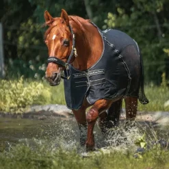 Discount - Chemise filet Sienna Couvertures Poneys|Couvertures Et Chemises