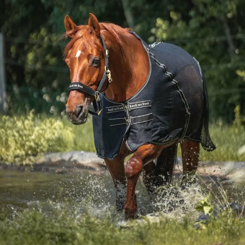 Discount - Chemise filet Sienna Couvertures Poneys|Couvertures Et Chemises