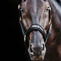 Hot - Licol Werano Licols Poneys|Licols En Nylon