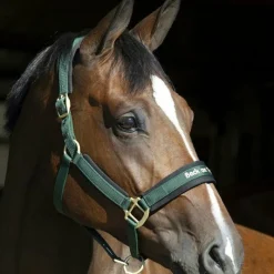 Outlet - Licol werano Licols En Nylon