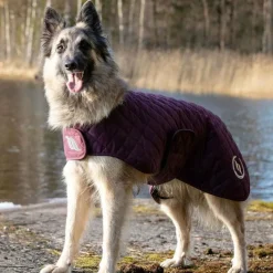 Hot - Manteau chien Night 0g Manteaux