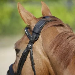 Discount - Protège-nuque Accessoires De Bridon