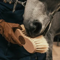 Grooming|Bouchons*Borstiq Farm - Bouchon Infini Cactus / crins Beige