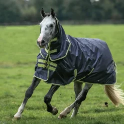 - Couverture d'extérieur Oasis Turnout 100 / lime 100g Couvertures Et Chemises