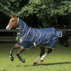 - Couverture d'extérieur Oasis Turnout 100 / lime 100g Couvertures Et Chemises