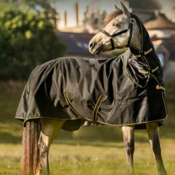 Couvertures Et Chemises*Bucas - Couverture d'extérieur Irish Turnout 150 / gold 150g Noir
