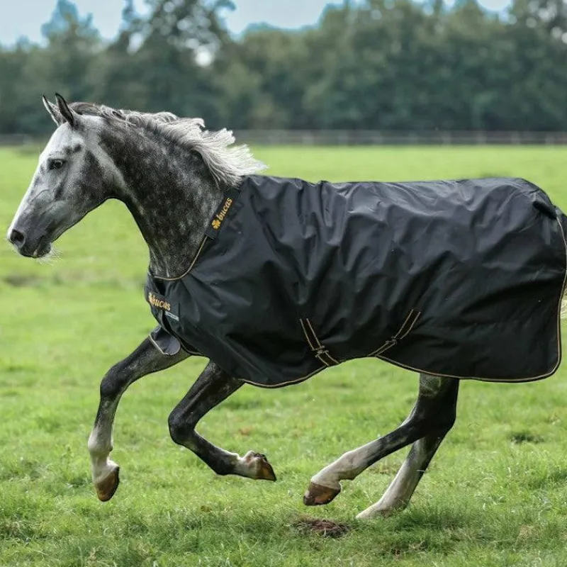 Couvertures Et Chemises*Bucas - Couverture d'extérieur Irish Turnout 0 / gold 0g Noir