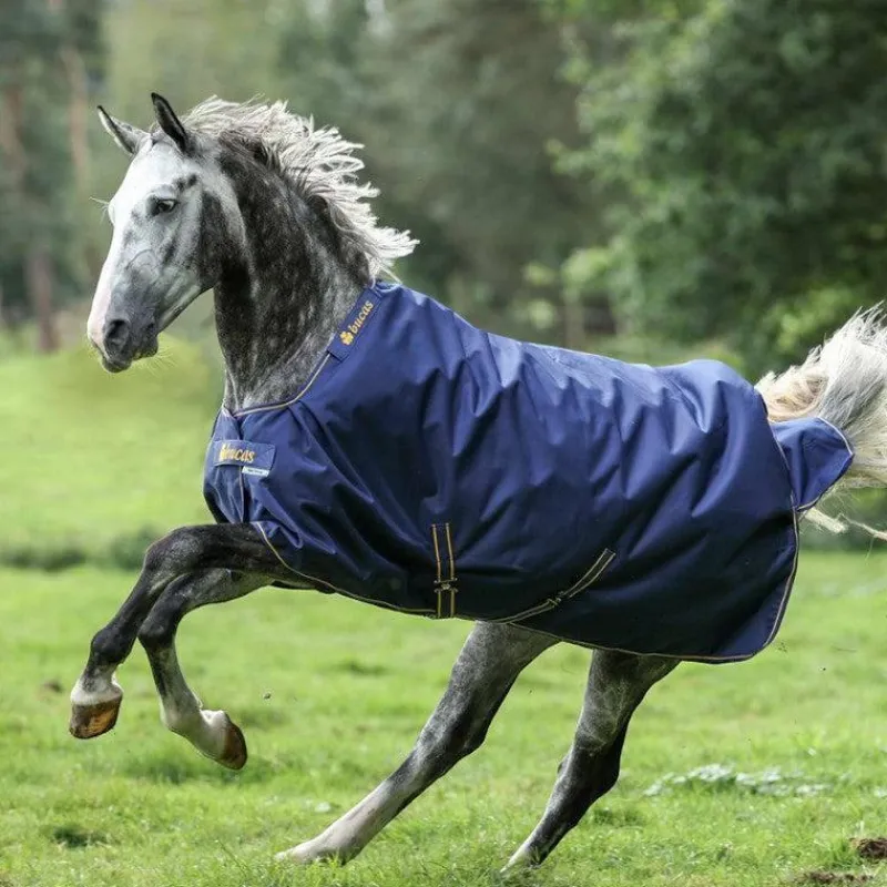 Best - Couverture d'extérieur Irish Turnout 300 / gold 300g Couvertures Et Chemises
