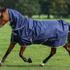 Clearance - Couverture d'extérieur Freedom Turnout 300 300g Couvertures Et Chemises