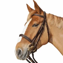 Clearance - Bride Euro avec rênes (2 paires) Brides