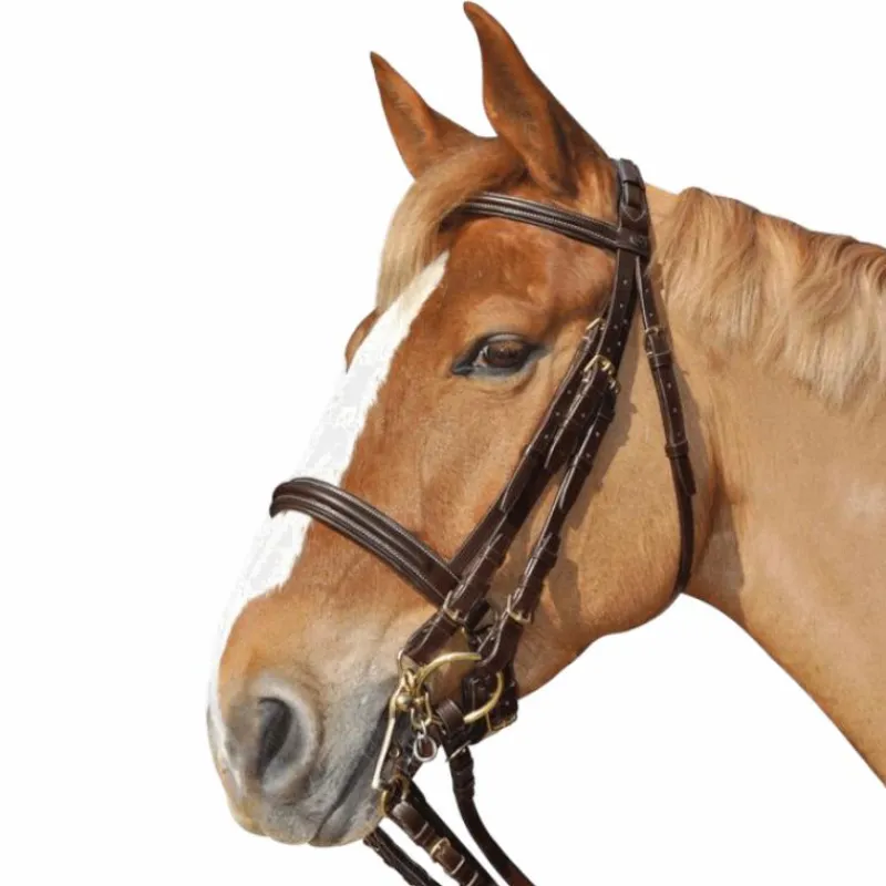 Clearance - Bride Euro avec rênes (2 paires) Brides