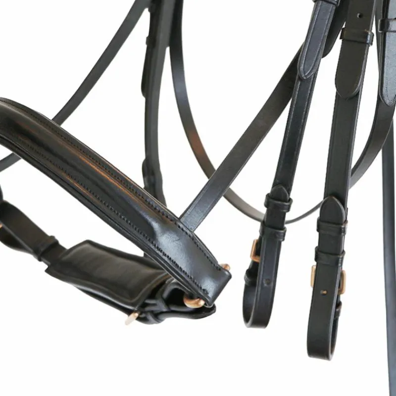 Brides*Canter - Bride Euro avec rênes (2 paires) Noir