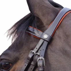 Bridons Poneys|Bridons*Canter - Bridon Alme têtière anatomique marron Havane
