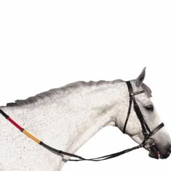 Best - Bridon éducatif Club avec rênes Bridons Poneys|Bridons