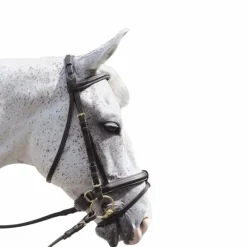 Hot - Bridon Euro pull back avec rênes marron Bridons|Cso