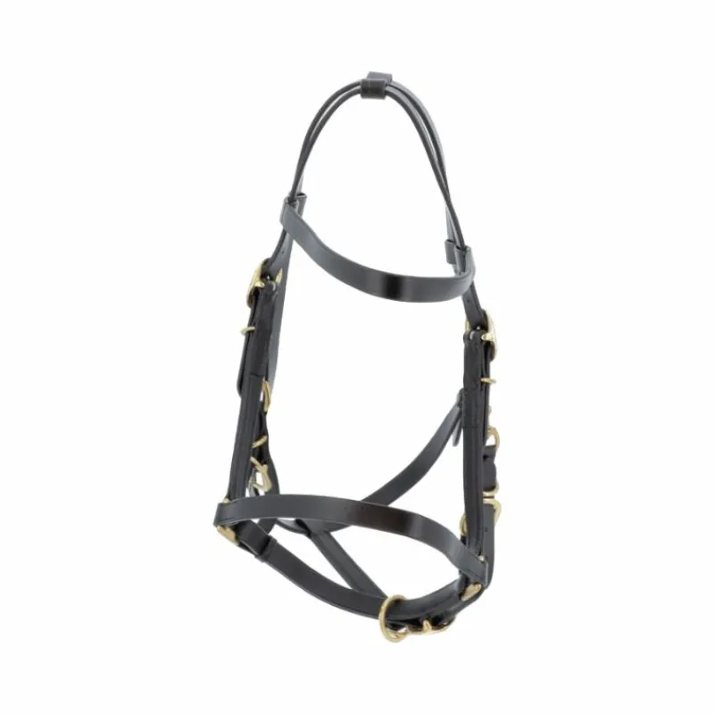 Élevage|Licols En Cuir*Canter - Bridon licol cheval large Noir