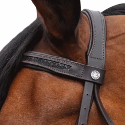 New - Bridon muserolle combinée black strass avec rênes Cso|Bridons Poneys