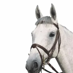 Outlet - Bridon Plat doublé avec rênes marron Cso|Bridons Poneys
