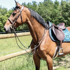 Colliers De Chasse*Canter - Collier de chasse surpiqué Marron