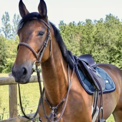 Colliers De Chasse*Canter - Collier de chasse surpiqué Marron